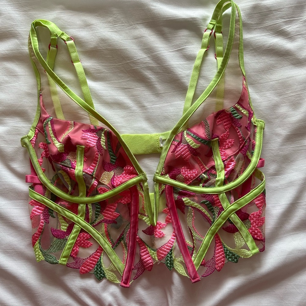 Victoria Secrets Petunia Embroidery Bustier